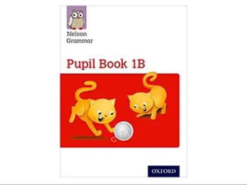 Nelson Grammar Pupil Book 1B - 9781408523889