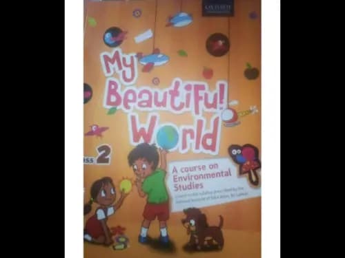 My Beautiful World – Class 2