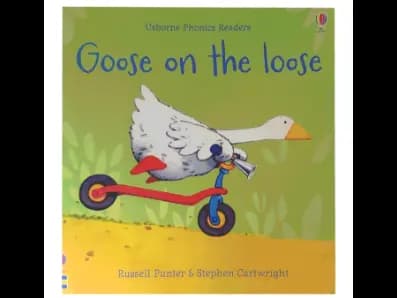 Usborne Phonics Readers: Goose on the loose
