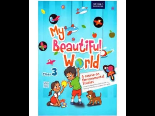 My Beautiful World – Class 3