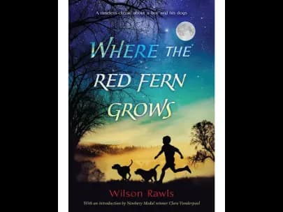 Where the Red Fern Grows