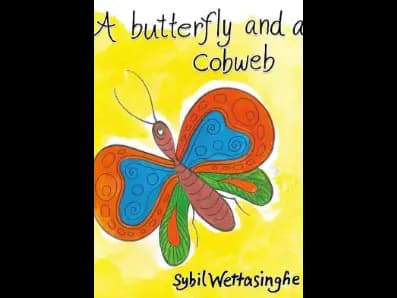 A Butterfly And A Cobweb