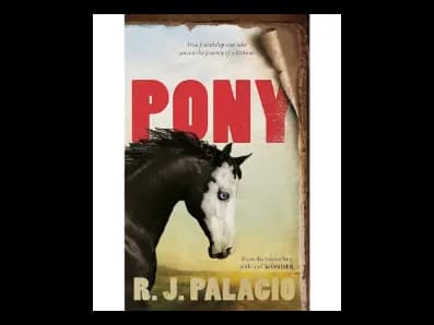 Pony