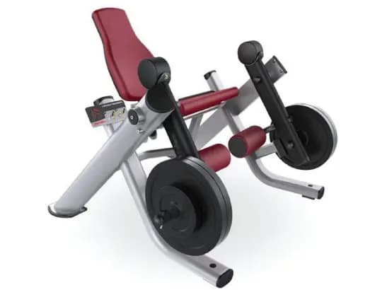 LEG EXTENSION XH9-51 (1450* 1550*1150)