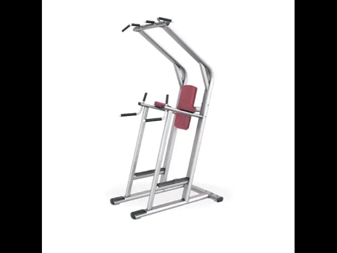 CHIN DIP/LEG RAISE (1150X1270X2330MM) (1’S)