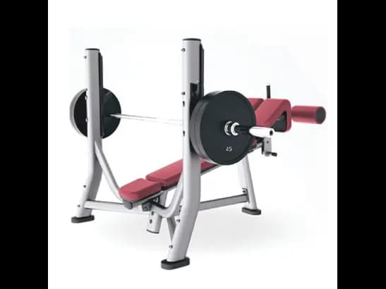 OLYMPIC DECLINE BENCH (1300X1730X1300MM) (1’S) - 96KG with Frame 5 Years (No Coating) warranty