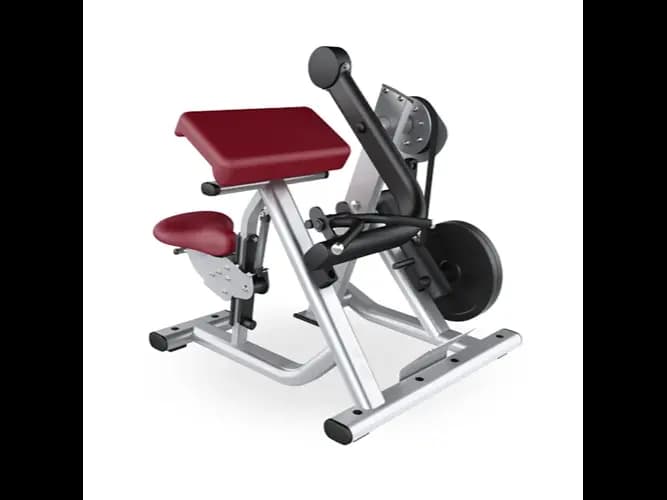 BICEP CURL XH9-46