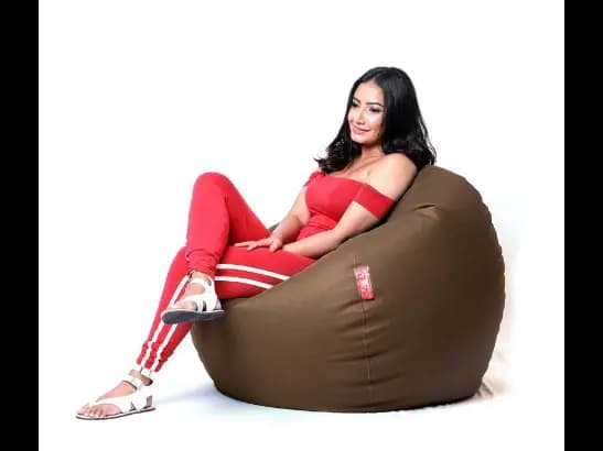 Classic Large Leather  Beanbags
