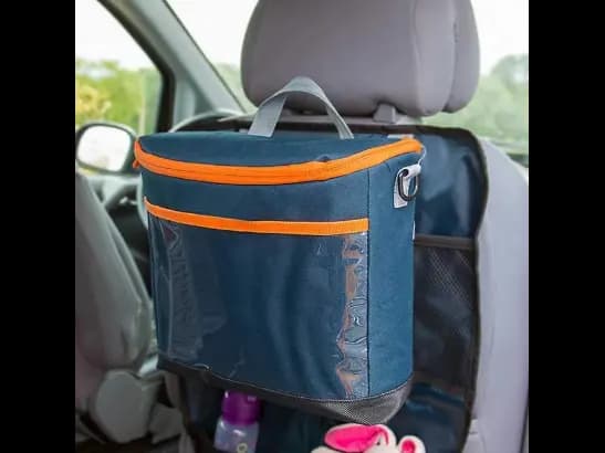 Fold’N Cool 20L Cooler Bag (2)