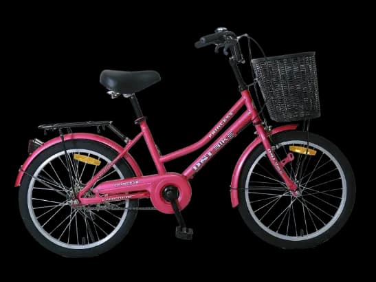 DSI bike 20" LADY with City Pattern DSI Tires