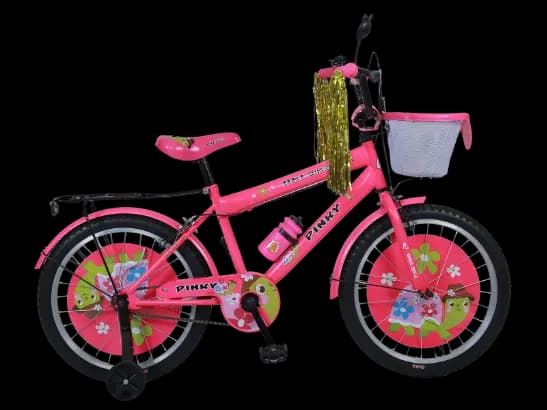 DSI bike 16'' BMX with MTB Pattern DSI Tyres