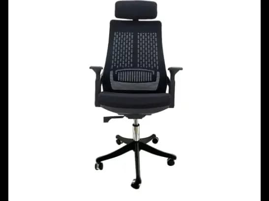 PRODO Pro Max Executive Office Chair Black - One Year Warranty