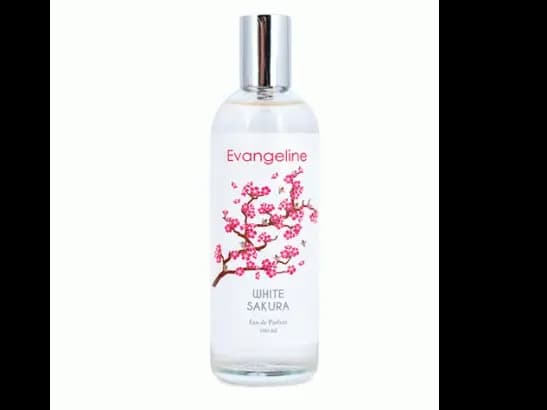 EVANGELINE WHITE SAKURA EDP 100ML
