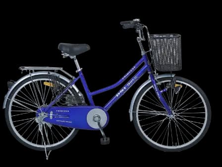DSI Bike 24" LADY with MTB Pattern DSI Tyre