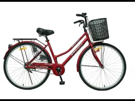 DSI Bike 26" Lady (VFM) with MTB Pattern DSI Tyres
