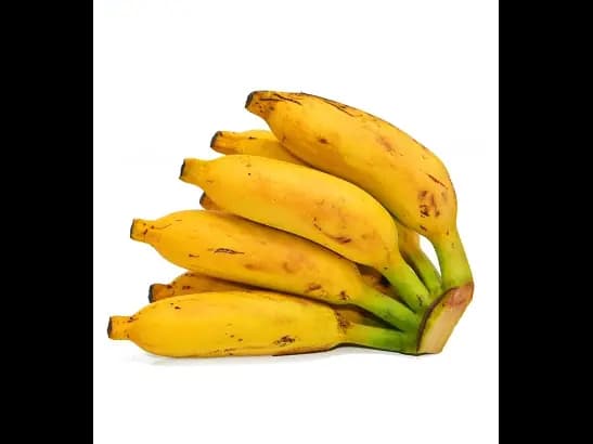 Sour Plantain