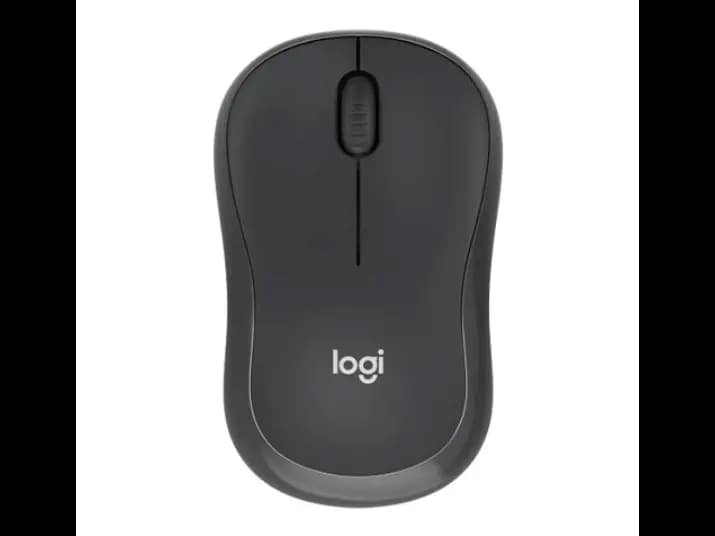 Logitech M240 Silent Bluetooth Mouse – Graphite