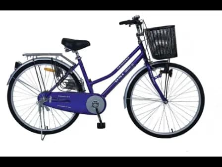 DSI Bike 26" Lady with City Pattern DSI tyres