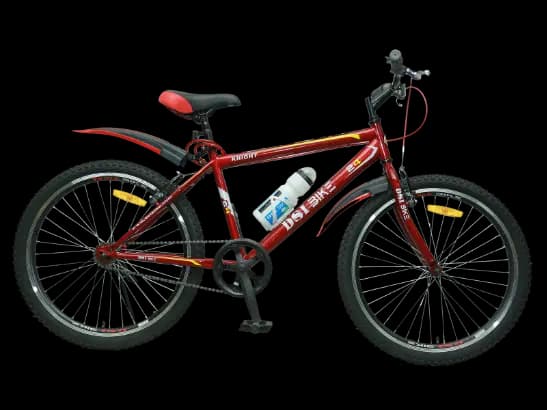 DSI bike 24" MTB SINGLE SPEED with City Pattern DSI Tires