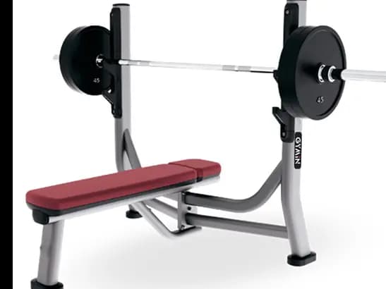 Olympic Flat Bench with Rack XH9-32 (1300*125 0*1300)