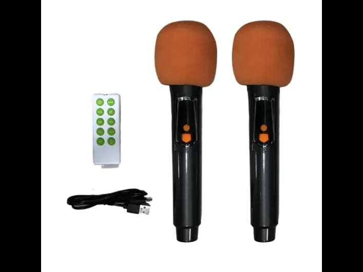 Brodu BTS-1989 Bluetooth Karaoke 22″ Speaker With 2 Microphone (3)
