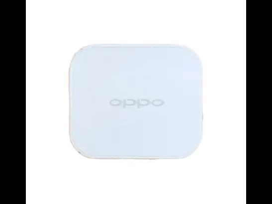 Oppo AK717 Micro Travel Charger And Cable (2)