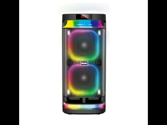 Brodu BTS-1989 Bluetooth Karaoke 22″ Speaker With 2 Microphone (2)