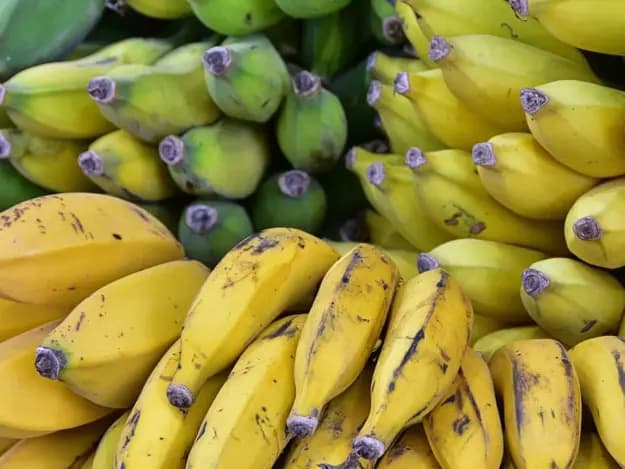 Sour Plantain (5)