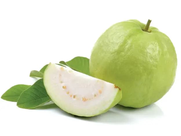 Guava (2)