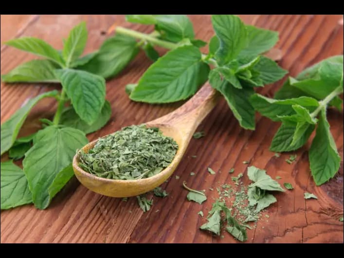 Mint (3)