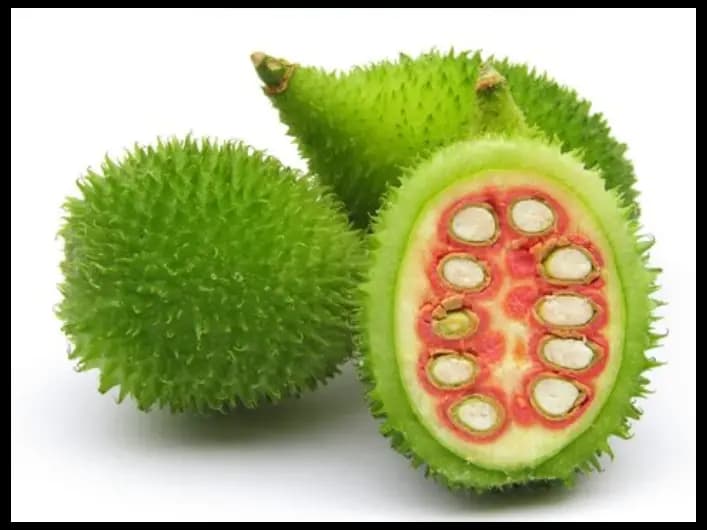 Spine Gourd