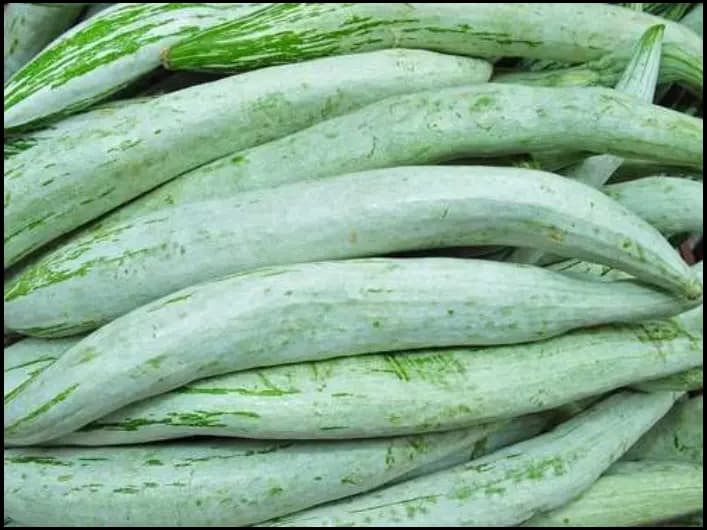 Snake gourd (5)