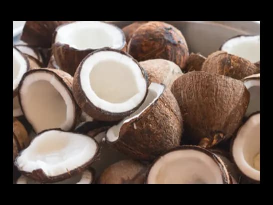 Coconut - 3 Pcs (2)