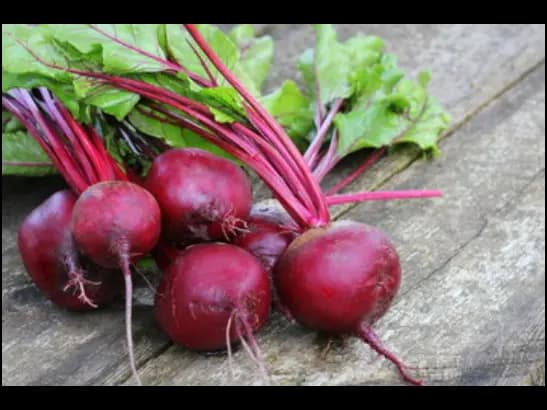 Beetroot (4)