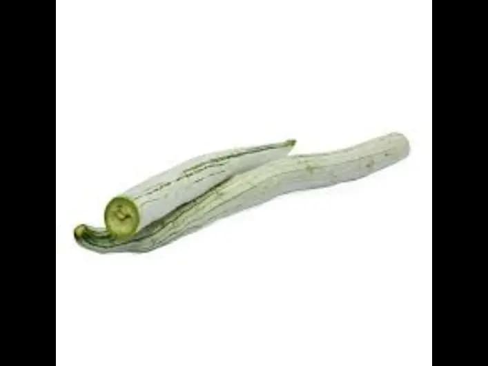 Snake gourd (2)