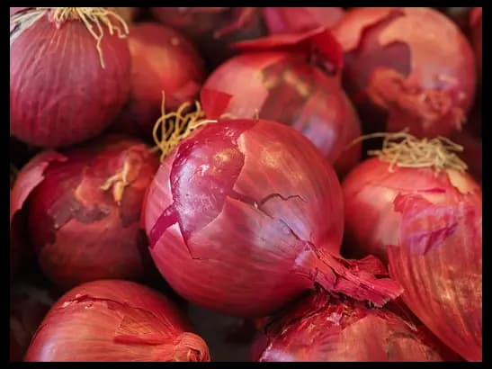 Onion Big (5)