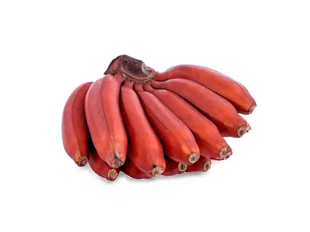 Red Banana (2)