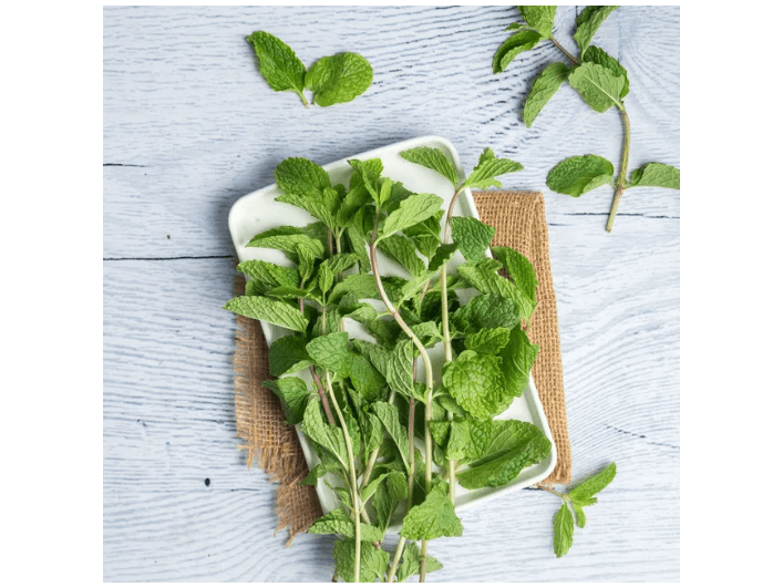 Mint (4)