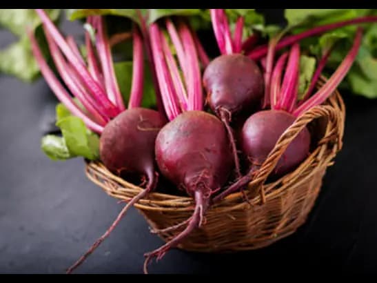 Beetroot (5)