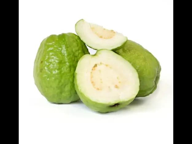 Guava (3)