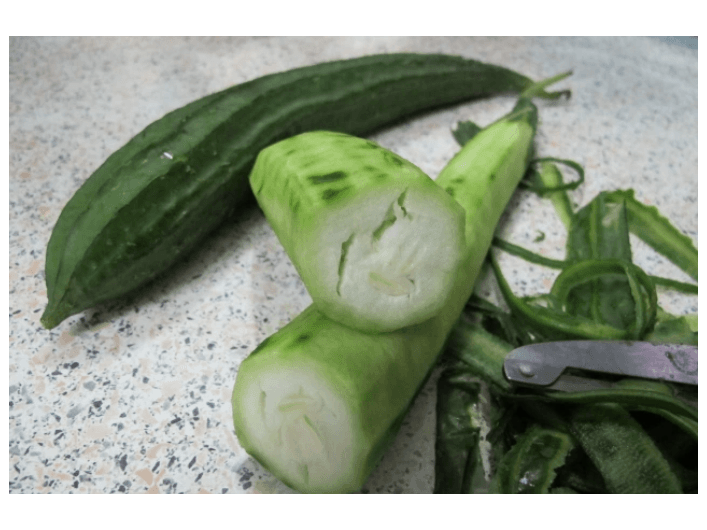 Luffa (4)