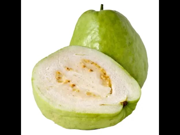 Guava (5)
