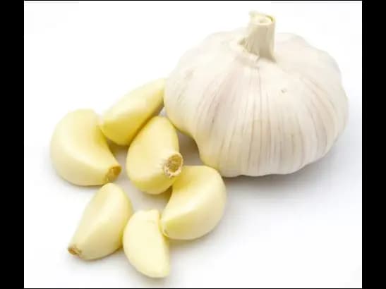 Garlic