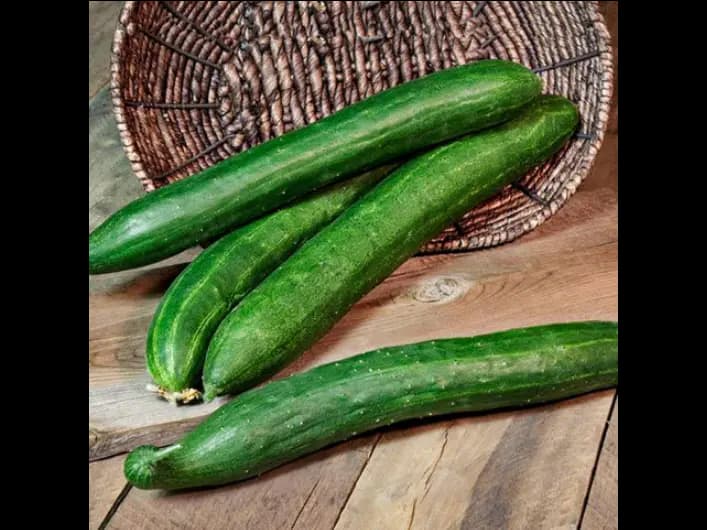 Japanese Cucumber (3)