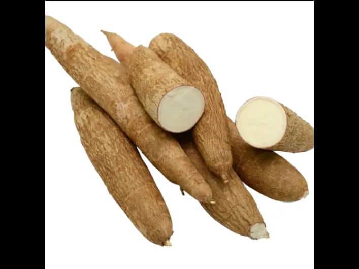 Manioc (2)