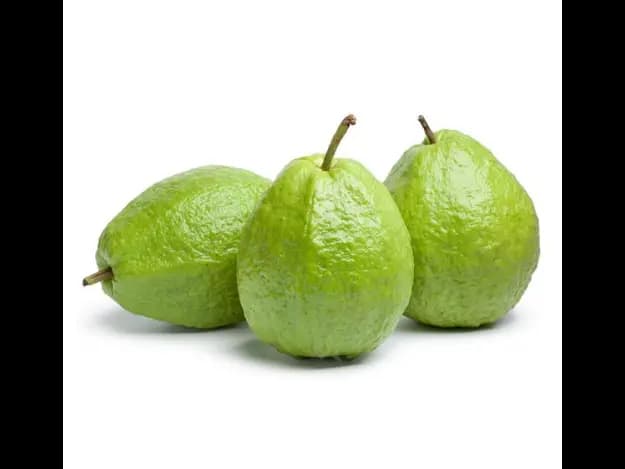 Guava (4)