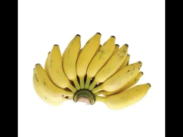 Sour Plantain (2)