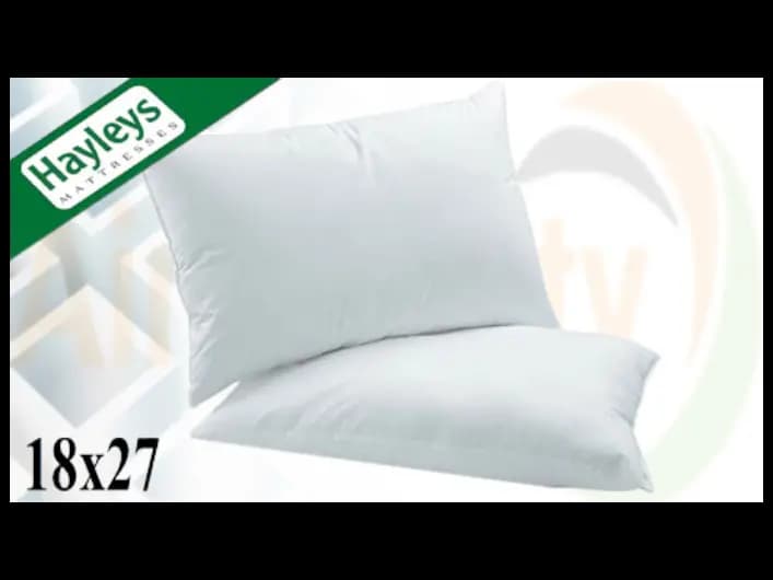 HAYLES 18X27 SUPER PILLOW- white