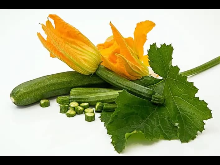 Zucchini (4)