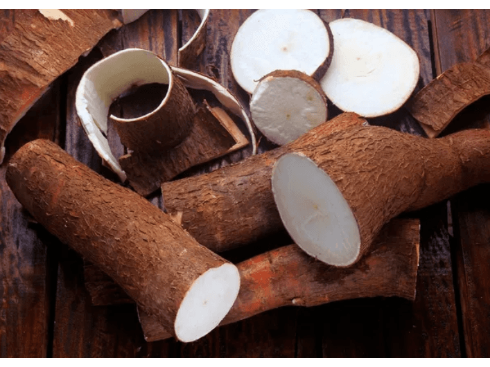 Manioc (3)